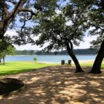 two chairs overlooking a lake underneath shade trees